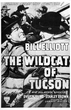 The Wildcat of Tucson
