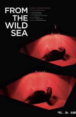 From the Wild Sea