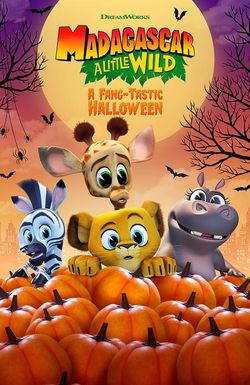 Madagascar: A Little Wild