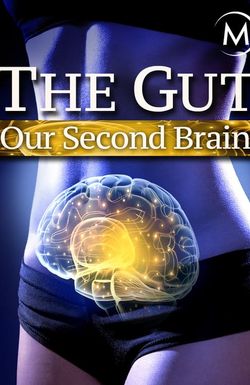 The Gut: Our Second Brain