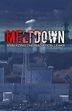 Meltdown: Analyzing the Radiation Leaks