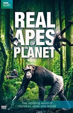 The Real Apes of the Planet
