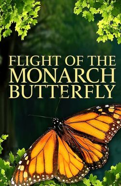 Flight of the Monarch Butterfly 3D