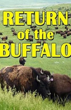 The Return of the Buffalo: Restoring the Great American Prairie