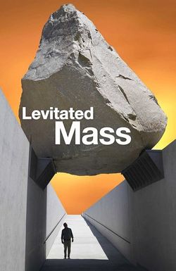 Levitated Mass