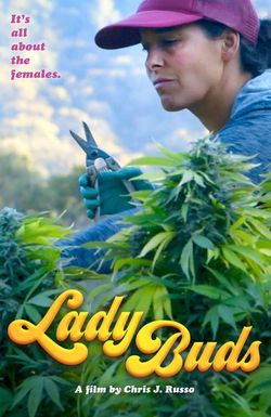 Lady Buds