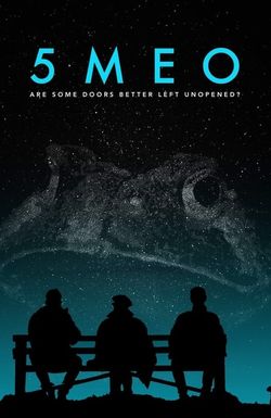 5MEO: Are Some Doors Better Left Unopened?