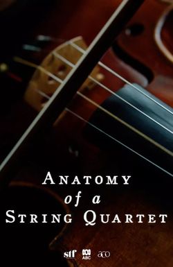 Anatomy of a String Quartet