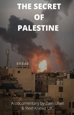 The secret of Palestine