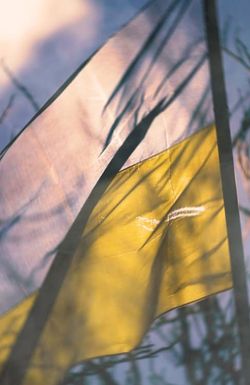 Despair and Defiance: The Battle for Ukraine