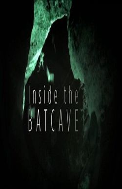 Inside the Bat Cave
