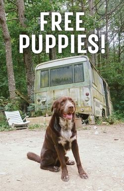 Free Puppies!