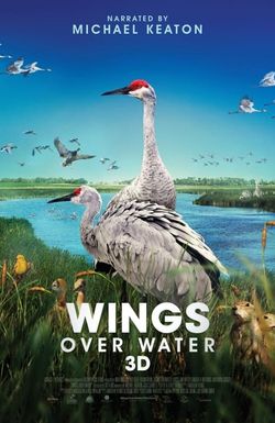 Wings Over Water