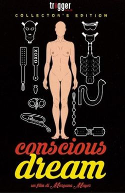 Conscious Dream