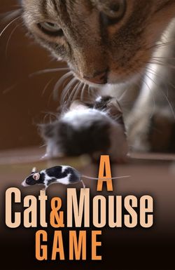 A Cat and Mouse Game