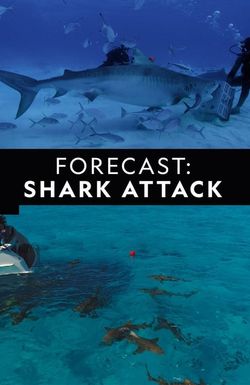 Forecast Shark Attack