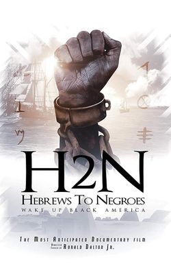 Hebrews to Negroes: Wake Up Black America