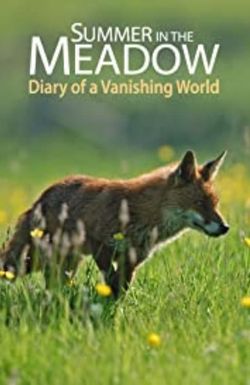 Summer in the Meadow: Diary of a Vanishing World