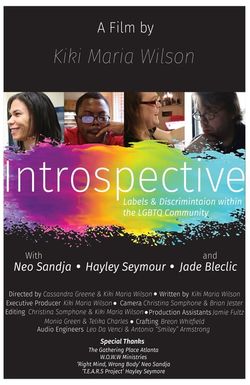 Introspective-Labels And Discrimination Within The Lgbtq Community