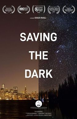 Saving the Dark
