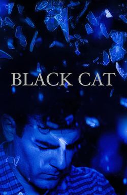 Black Cat