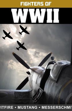 Fighters of WWII: Spitfire, Mustang, and Messerschmitt