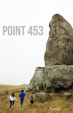 Point 453
