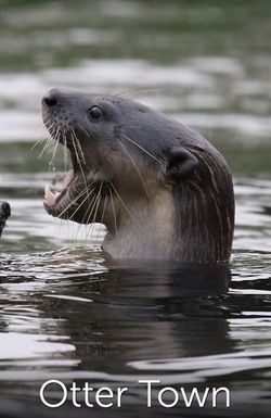 NatGeo Wild: Otter Town