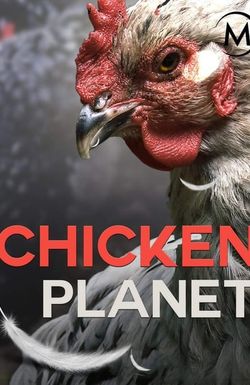 Chicken Planet