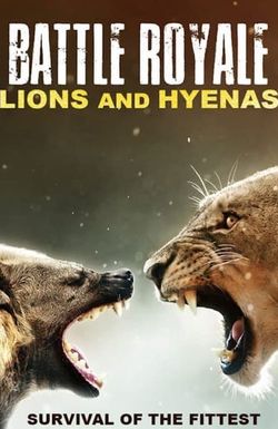 Battle Royale: Lions and Hyenas