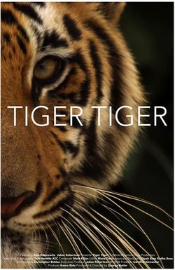 Tiger Tiger