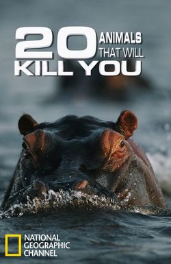 20 Animals That Will Kill You