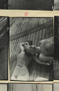 The View from Our House