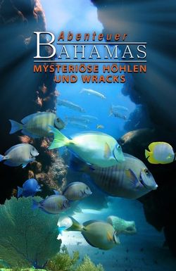 Adventure Bahamas 3D - Mysterious Caves and Wrecks