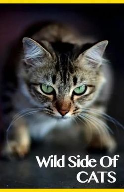 Wild Side of Cats