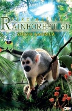 Fascination Rainforest 3D