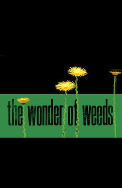 The Wonder of Weeds