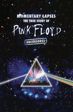 Pink Floyd: Momentary Lapses - The True Story of Pink Floyd