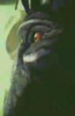 Nothing Is More Beautiful Than Nothing