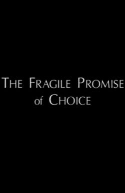 The Fragile Promise of Choice: Abortion in the United States Today
