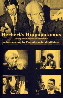 Herbert's Hippopotamus