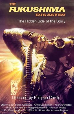 The Fukushima Disaster: the Hidden Side of The Story