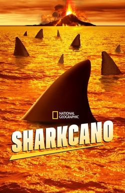 Sharkcano