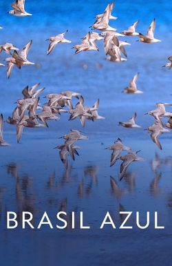 Brasil Azul