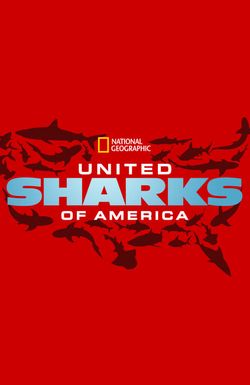 United Sharks of America