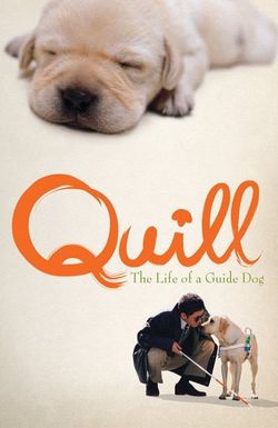 Quill: The Life of a Guide Dog