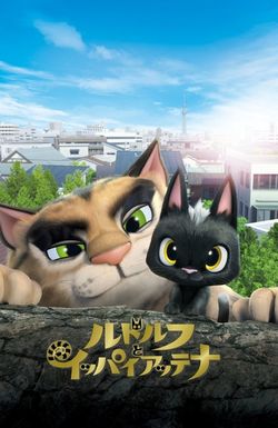 Rudolf the Black Cat