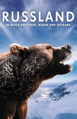 Russland - Im Reich der Tiger, Bären und Vulkane