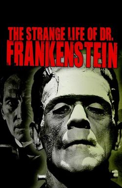 Le documentaire culturel