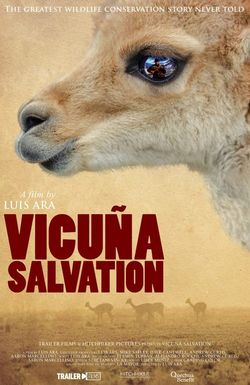 Vicuna Salvation